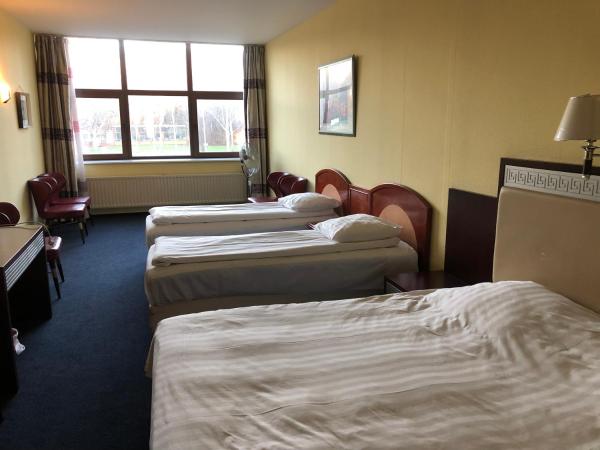 New Ocean Paradise Hotel : photo 1 de la chambre chambre quadruple