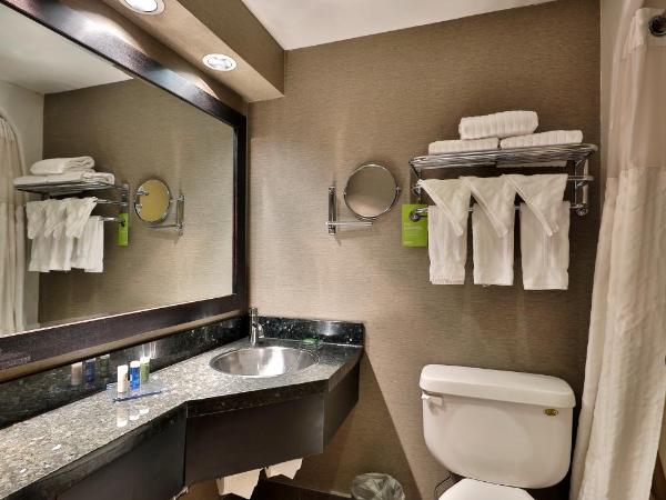 Edmonton Hotel & Convention Center Edmonton : photo 4 de la chambre chambre lit king-size - non-fumeurs