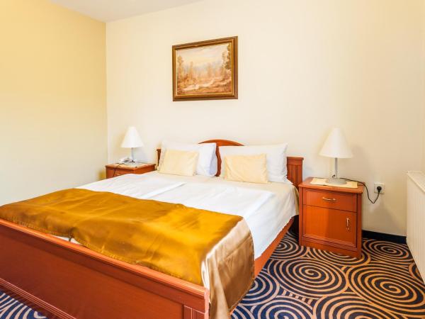 Sándor Hotel : photo 3 de la chambre chambre double ou lits jumeaux