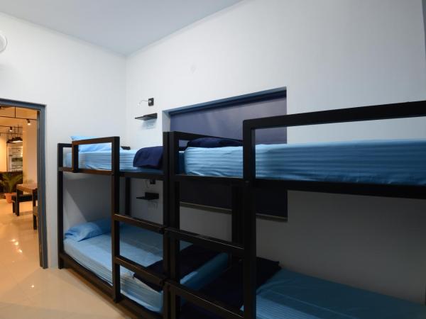THC Backpackers jodhpur : photo 5 de la chambre lit dans dortoir mixte de 4 lits