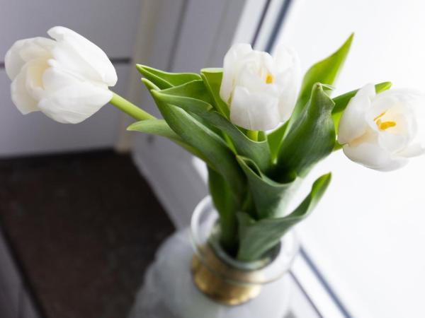 Livin Station Hotel : photo 5 de la chambre chambre simple