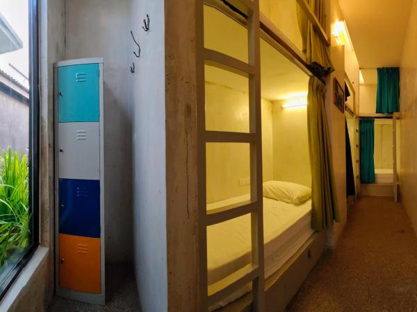 Beds In Garden Hostel : photo 2 de la chambre dortoir mixte de 6 lits