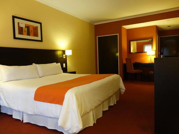 Duomi Hotel Buenos Aires : photo 7 de la chambre chambre double ou lits jumeaux standard