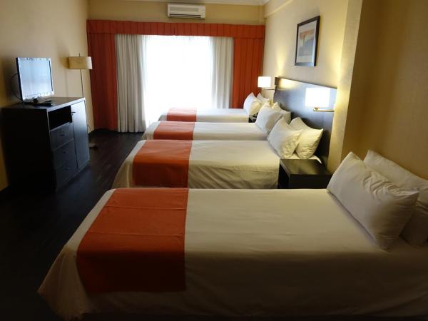 Duomi Hotel Buenos Aires : photo 4 de la chambre chambre quadruple standard