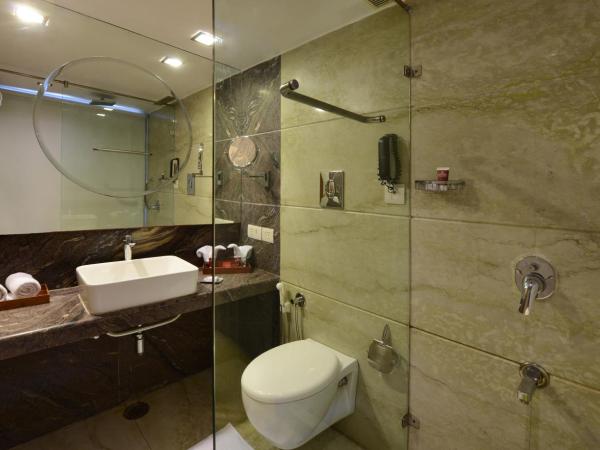 Lords Plaza Jaipur : photo 3 de la chambre chambre club