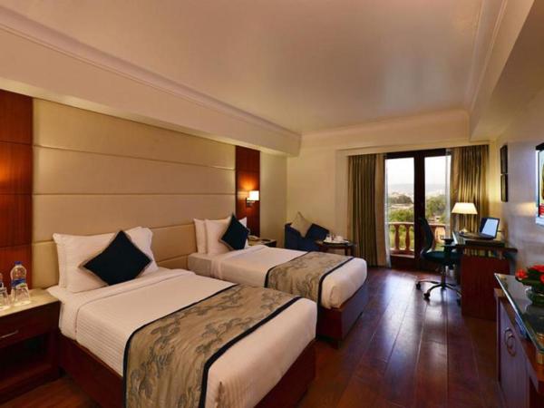 Lords Plaza Jaipur : photo 1 de la chambre chambre lits jumeaux deluxe