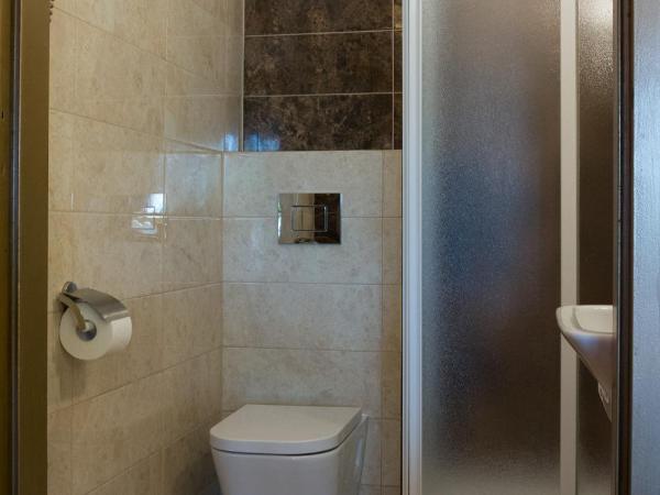 Hotel Astra Tajemniczy Ogród : photo 8 de la chambre chambre simple standard