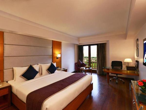 Lords Plaza Jaipur : photo 2 de la chambre chambre club