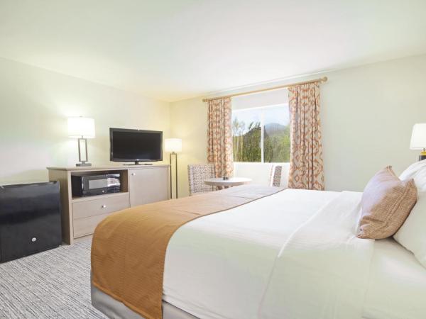 Starr Pass Golf Suites : photo 3 de la chambre suite studio