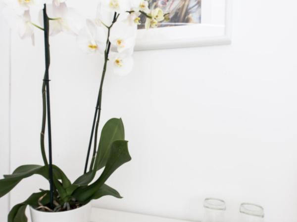 Dimora CentroWell : photo 6 de la chambre chambre double avec salle de bains privative