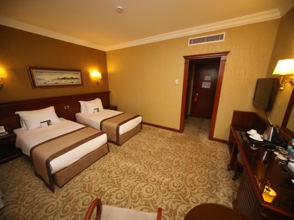 Bilek Istanbul Hotel : photo 4 de la chambre chambre double ou lits jumeaux standard