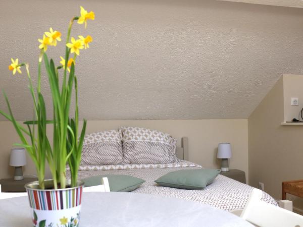 Les Paridés : photo 8 de la chambre 2 chambres communicantes mansardées