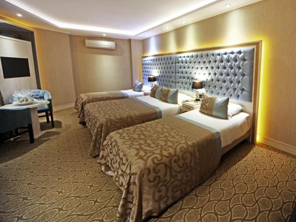 The Parma Hotel Downtown : photo 6 de la chambre chambre triple standard