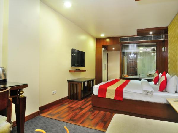 Hotel Aura - New Delhi Railway Station : photo 2 de la chambre aura suite with private jacuzzi 