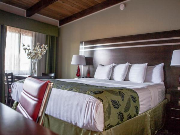 Motel Capri : photo 2 de la chambre chambre standard lit queen-size