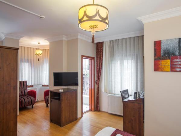 Berce Hotel Istanbul : photo 3 de la chambre chambre triple