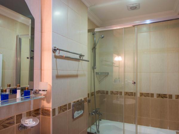 Berce Hotel Istanbul : photo 4 de la chambre chambre deluxe double ou lits jumeaux