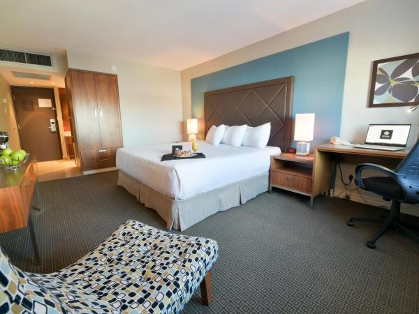 Hotel Universel Montréal : photo 7 de la chambre chambre supérieure avec lit king-size