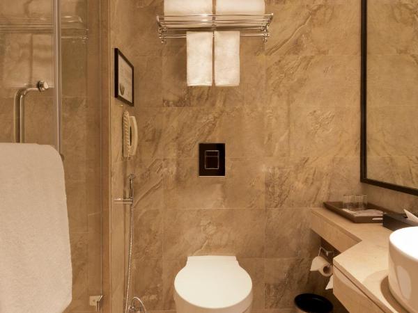 Lemon Tree Premier City Center Pune : photo 3 de la chambre chambre double ou lits jumeaux affaires