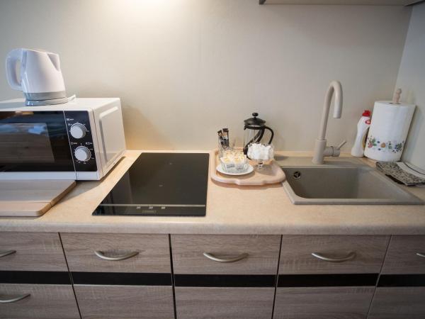 Apartamenty u Magika : photo 5 de la chambre studio avec balcon 