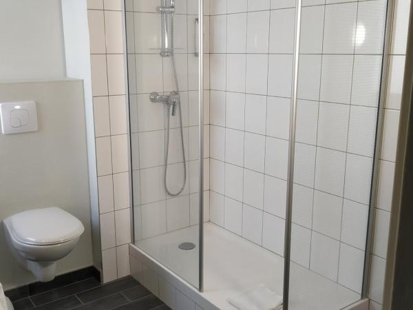 Ibis Brive Centre : photo 9 de la chambre chambre supérieure