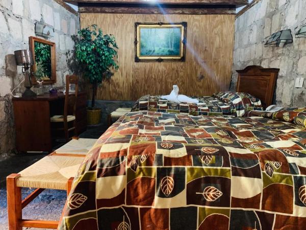 Hotel Casa del Anticuario : photo 3 de la chambre chambre double