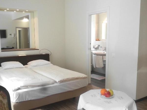 Hotel Federale : photo 1 de la chambre studio - annexe