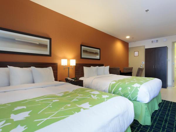 Econo Lodge : photo 1 de la chambre chambre 2 lits queen-size - non-fumeurs