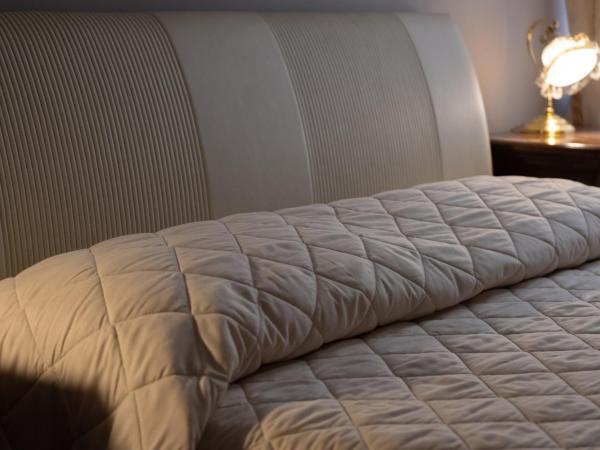 La Nuova Corte Rooms : photo 9 de la chambre chambre deluxe