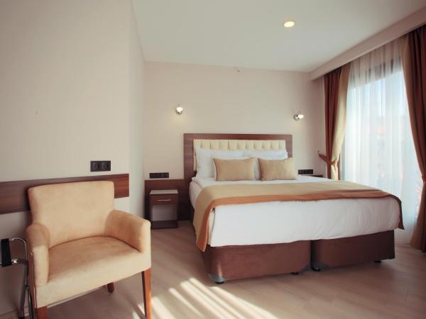 Hotel Paris Prestige : photo 4 de la chambre suite junior