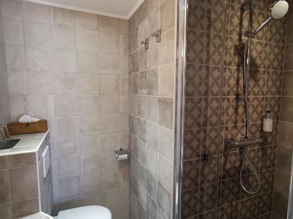 Hôtel du Parc : photo 5 de la chambre chambre double standard