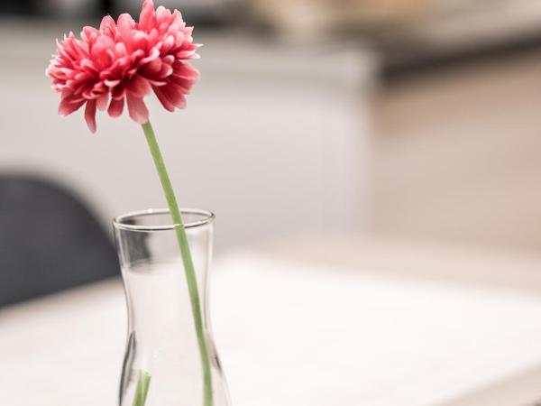 Urban Nest - Suites & Apartments : photo 9 de la chambre suite