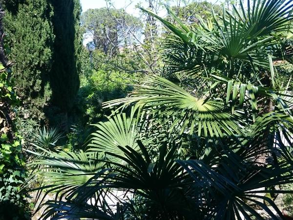 Guest house Korado : photo 3 de la chambre chambre double avec balcon