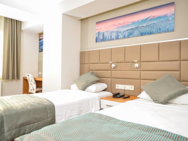 Hakcan Hotel : photo 2 de la chambre chambre double ou lits jumeaux standard