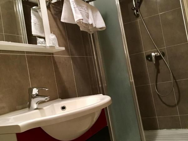 Hôtel Belle Fontainebleau : photo 4 de la chambre chambre simple