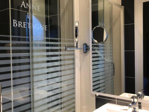 Hotel Anne De Bretagne BLOIS : photo 5 de la chambre chambre double standard 10 m2 (sans ascenseur)