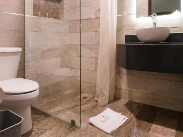 Hotel Hidalgo : photo 2 de la chambre chambre double standard