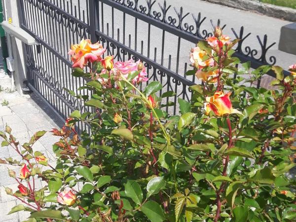 La locanda del Mulino : photo 10 de la chambre chambre double avec salle de bains privative