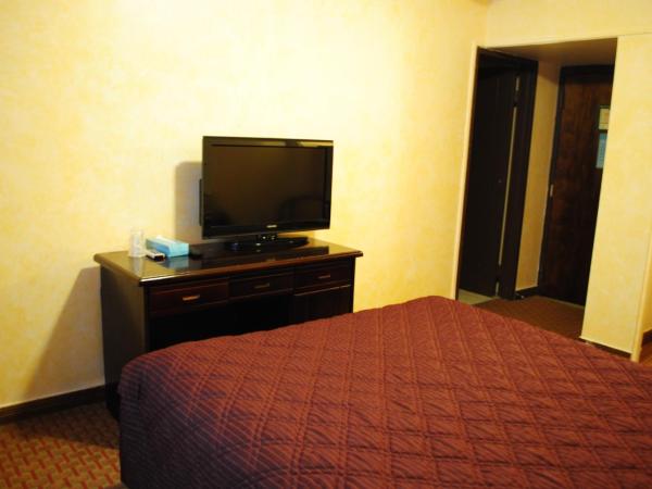 Chinatown Hotel Chicago : photo 3 de la chambre chambre lit queen-size