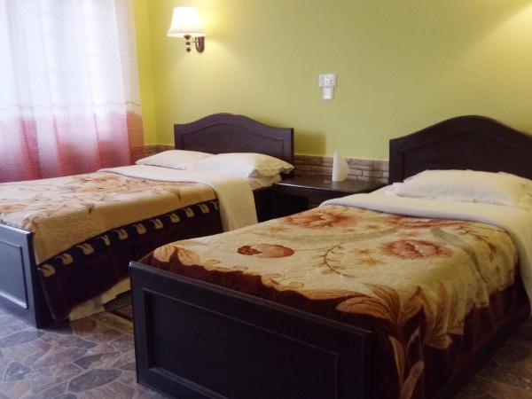 New Pokhara Lodge - Pokhara Lakeside : photo 6 de la chambre chambre double ou lits jumeaux avec terrasse