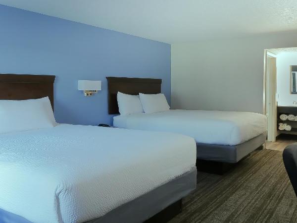 Hotel South Tampa & Suites : photo 3 de la chambre chambre deluxe avec 2 lits queen-size - non-fumeurs