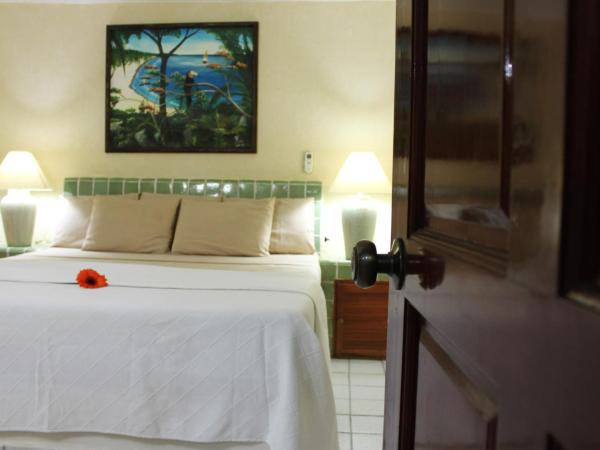 Coral Ixtapa : photo 2 de la chambre chambre lit king-size standard