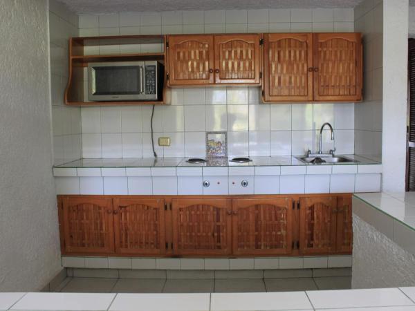 Coral Ixtapa : photo 3 de la chambre chambre lit king-size standard