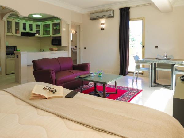 Appart-Hotel Amina Resort : photo 8 de la chambre studio