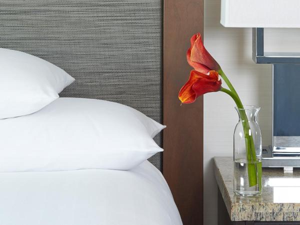 Hyatt Regency Atlanta : photo 8 de la chambre chambre lit king-size pour personnes à mobilité réduite avec douche accessible aux personnes à mobilité réduite