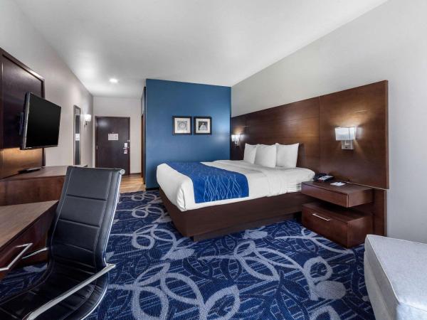 Comfort Inn & Suites Oklahoma City South I-35 : photo 2 de la chambre chambre lit king-size