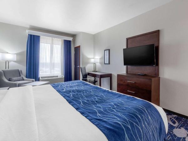 Comfort Inn & Suites Oklahoma City South I-35 : photo 4 de la chambre chambre lit king-size