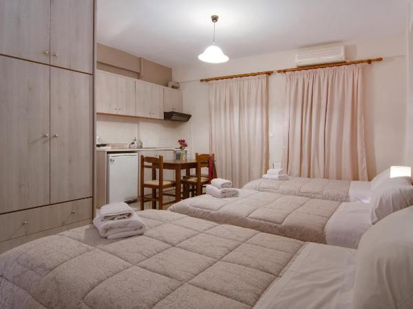 Tsironis Guesthouse : photo 7 de la chambre studio (3 adultes)