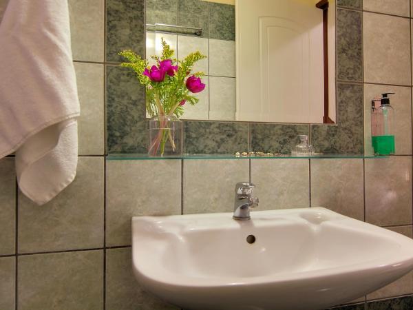 Tsironis Guesthouse : photo 5 de la chambre studio