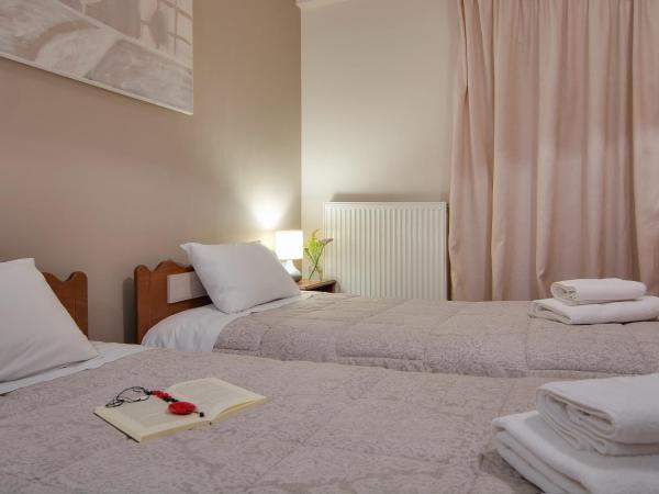 Tsironis Guesthouse : photo 7 de la chambre studio (2 adultes)